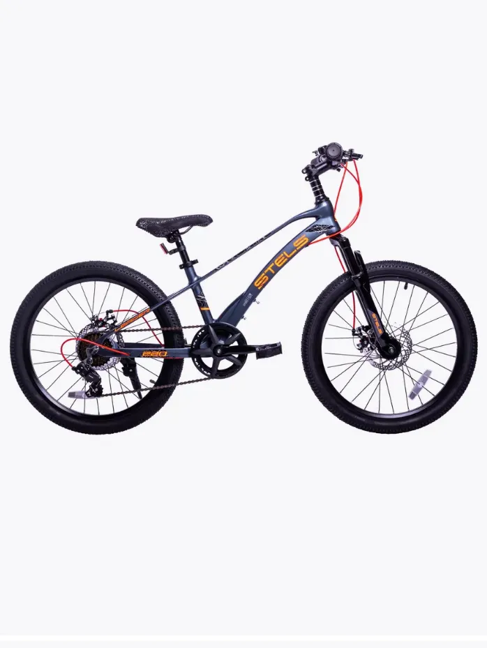Stels LEADER 220
