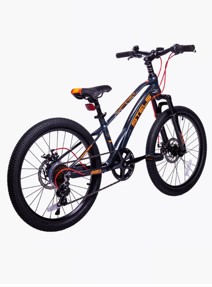 Stels LEADER 220