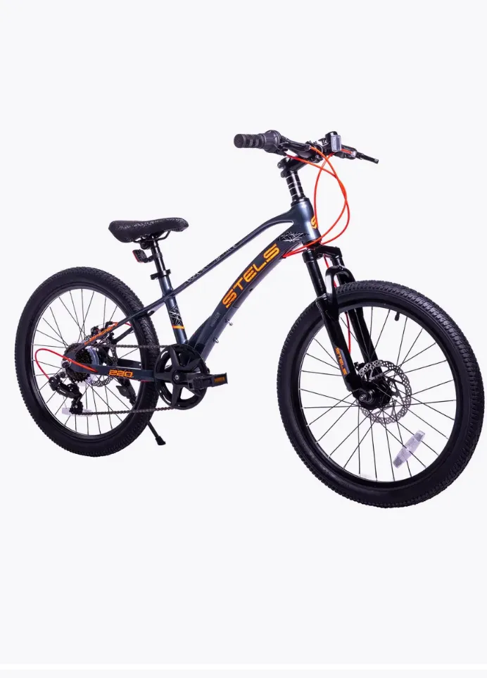 Stels LEADER 220
